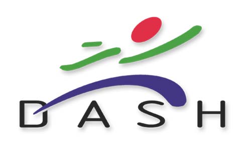 Corporate Identity for Dash Development